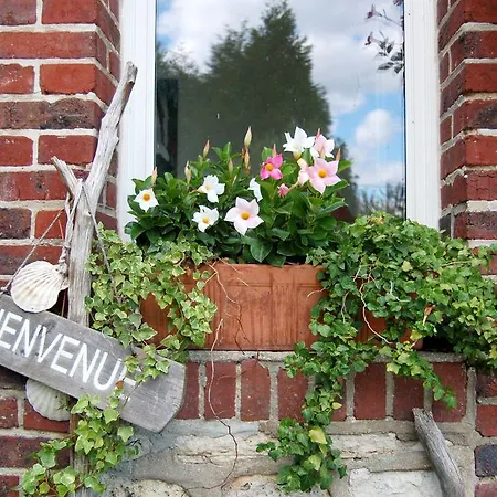 Le Manoir Du Menillet فندق مبيت وإفطار Bornel